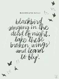 Blackbird Singing In The Dead Of Night Lyrics The Beatles Popular Song Quotes Song Lyric Quotes Lyric Quotes