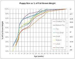 35 Unexpected Labrador Puppy Height Chart