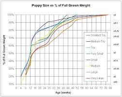 35 unexpected labrador puppy height chart