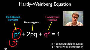 Biology stack exchange is a question and answer site for biology researchers, academics, and students. Solving Hardy Weinberg Problems Youtube