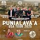 Punialavaa