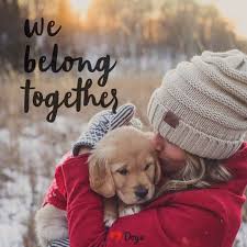 We Belong Together Dog Meme Dog Inspirational Dog Quotes Quotes About Dogs Dog Training Dog Quotes Funny Dogs