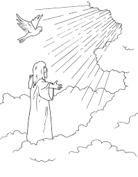The following elements will be provided: Coloring Bible Nt Acts
