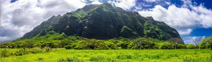 Perhaps it's because i was only 7 and my mind had so far been left untouched by. Day Tour From Waikiki Kualoa Ranch Jurassic Park Adventure Kkday