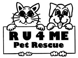 North sd county > pets. Welcome To Ru4me Pet Rescue