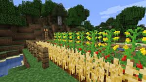 How underrated are cacti in minecraft? Simple Farming Mod 1 14 Minecraft City