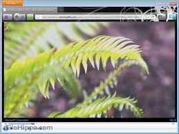 Download Windows Media Player Firefox Plugin 1 0 0 8 For Windows Filehippo Com