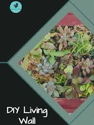 Long including the small corner at the end. How To Make A Vibrant Vertical Succulent Planter Easy Ikorncrafts