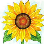 Paint & Sip Night: Paint Your Own "Sunflower"