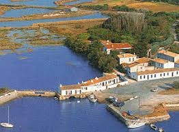 Loix En Re Ile De Re France Ile Francaise Ile D Oleron