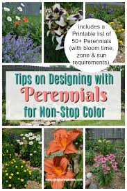 Flower Garden Design Tips Gingham Gardens Flower Garden Layouts Garden Design Layout Beautiful Flowers Garden