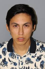 2 men accused of luring girls to suburban apartment, sexually abusing them 