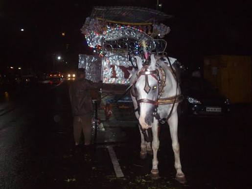 File:Tourist 'Horse-carriage' at 'gateway Of India'.jpg - Wikimedia Commons