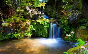 Animated Screensavers And Wallpaper Screensaver Animated Wallpaper Just Paradise Screensaver A Moving Wallpapers Waterfall Wallpaper Screen Savers Wallpapers