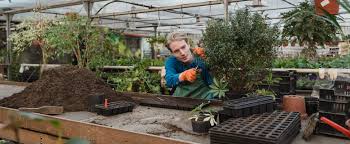 We did not find results for: How Can I Start Composting Latinamerican Post