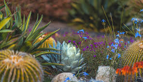 Top 100 wallpaper engine wallpapers 2020. Desert Garden Desktop Wallpaper Happy New Year 2020 Naina Co