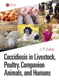 Treatment of coccidia in cats. Coccidiosis In Livestock Poultry Companion Animals And Humans 1st