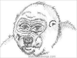 Wildlife Pencil Drawings Animals From The Forest 10 000 free drawing art images pixabay.