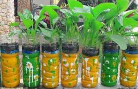 Nutrisi hidroponik merupakan nutrisi atau pupuk tanaman pada sistem hidroponik. Pengertian Dan Cara Membuat Tanaman Hidroponik