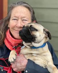 Snuggles with Gumby ❤️ He got the works today, along with some cuddles from  Gina, at Dr Buxtons office. He's such a typical sweet good natured pug.  While the Frenchie girl he