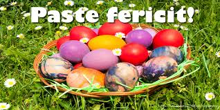 Felicitari, declaratii de dragoste, mesaje de noapte buna. Top 10 Felicitari De Paste Felicitari