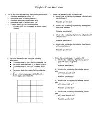 How to solve dihybrid problems: Dihybrid Cross Punnett Square Worksheet Answers Pi Customer Server B2ml Com Br
