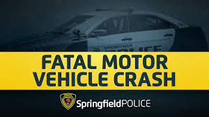 Image result for Sheriffs Tan 2018 Fleet