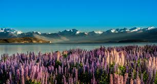 Check spelling or type a new query. Novy Zeland A Mesta Australie Poznavaci Zajezd Ck Sen