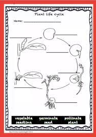 Seed Germination Plant Life Cycle Biology Worksheet Free Science Worksheets