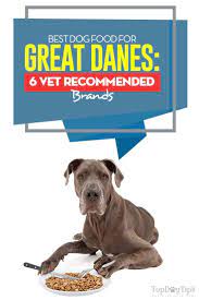 Pin On Vet Tips For Dog Parents