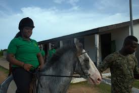 Equestrian Initiative