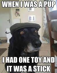 Distractify On Twitter Funny Dog Memes Funny Dogs Funny Animal Pictures