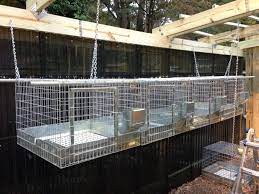 Akan tetapi, kurungan dari beberapa jenis bahan tersebut yang paling banyak dipasarkan adalah kurungan yang berbahan bambu karena bahan ini dinilai paling mudah didapatkan. Cara Membuat Kandang Ayam Dari Kawat Ram Tentang Kolam Kandang Ternak