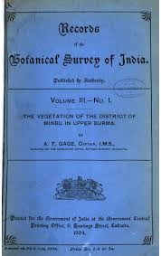 Image result for Pycreus fluminalis