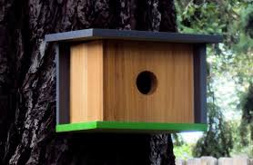 Cabane A Oiseau Parfaite Nichoir Maison Oiseaux Cabane Oiseaux