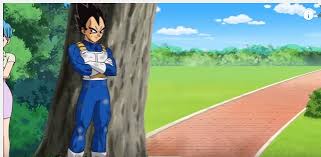 These balls, when combined, can grant the owner any one wish he desires. Dragon Ball Super Episode 91 92 Vegeta Begins Training Buu Sleeps