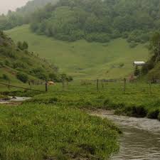 Пушкинские Горы 2025: путеводитель по усадьбам, отели, музеи, как добраться  и что посмотреть - Афиша Daily