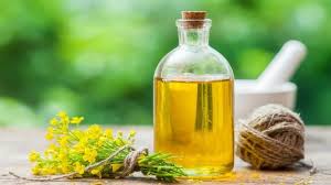 Repicino Ulje Ljekovitost Upotreba I Cijena Healthy Cooking Oils Rapeseed Oil Canola Oil