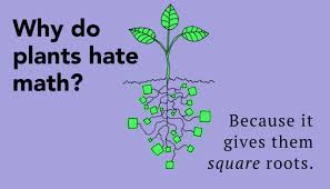 Maybe you would like to learn more about one of these? Mathematics Nature 55 Funny Math Jokes And Puns That Will Make You