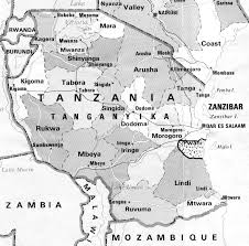 Image result for Polysphaeria dischistocalyx