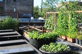 From fall container gardening to hanging container gardening and even indoor container gardening—we've got tons of container garden ideas for you. Episode 101 Container Gardening With Sara Gasbarra Seattle Urban Farm Company