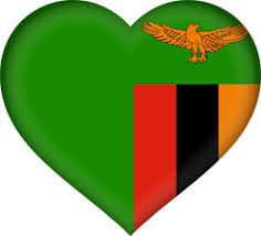 Free shipping on orders over $25 shipped by amazon. Zambia Flag Icon Country Flags
