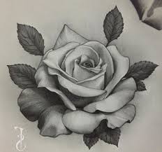 Pin On Rose