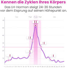 Hier kann ein ovulationstest weiterhelfen. Yoyoni Basic Set Premium Femometer Ii 30 Ovulationstests Yoyoni Schweiz