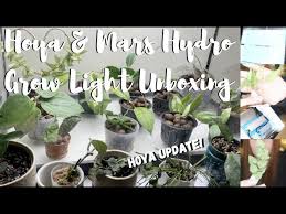 Grow lights for houseplants in winter. Winter Lights For Houseplants Mars Hydro Ts 600w Unboxing Youtube