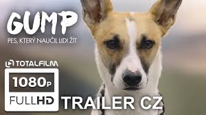 Do kin poeticky natočený příběh toulavého psa gumpa v režii f. Gump Pes Ktery Naucil Lidi Zit 2021 Hlavni Trailer Hd Youtube