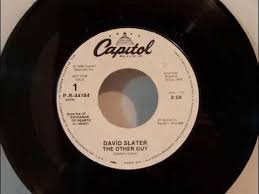 David Slater