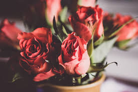 Whether you'er a professional florist or diy type, that's planning a wedding, event or just love flowers. How To Keep Flowers Fresh Until Delivery 4 Tips For Florists