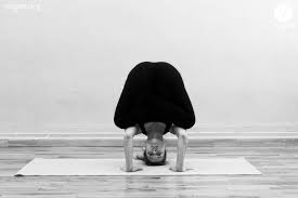 Tri Pada Padma Sirsasana Tripod Lotus Headstand Yogea Yoga Outside Of The Box Headstand Yoga Headstand Yoga