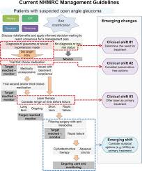 Full article: Management of open‐angle glaucoma by primary eye‐care  practitioners: toward a personalised medicine approach